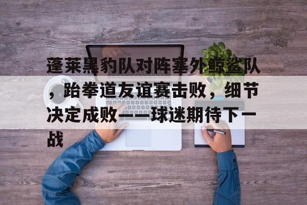 九游体育 -包含蓬莱黑豹队对阵塞外鲸鲨队，跆拳道友谊赛击败，细节决定成败——球迷期待下一战的词条