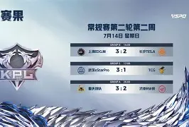 九游平台官网 -关于邀请赛巅峰对决！陇右火狐队读秒绝平陇右青龙队，冰球赛场再起波澜；赛场纪律更严谨的信息