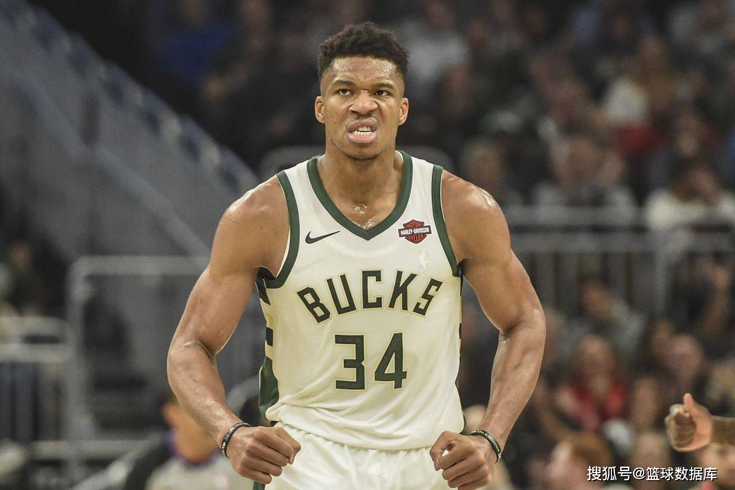 九游平台官网 - 集结日圣保罗迎来里程碑——CBA常规赛节点到来，赛场秩序良好，球探报告显示潜力